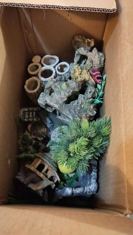 Photo of free Box of fish tank ornaments (Sockbridge CA10) #1