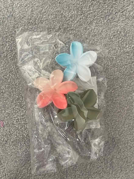 Photo of free Claw clips hair accessories (West Ealing W13) #3
