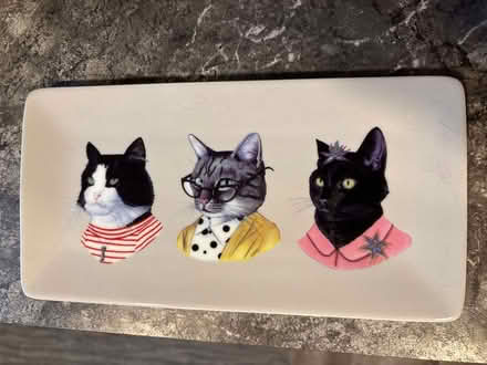Photo of free Ceramic cat tray (Drexel Hill) #1