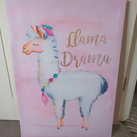 Photo of free Lama picture (BN18 fontwell) #1