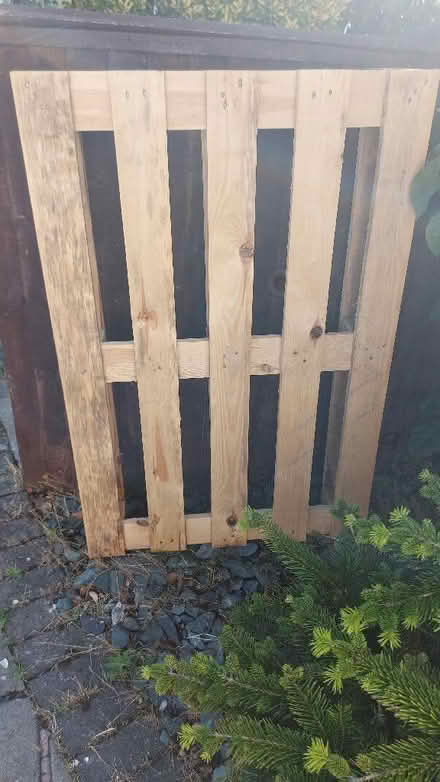 Photo of free Wooden pallet (Formby L37) #1