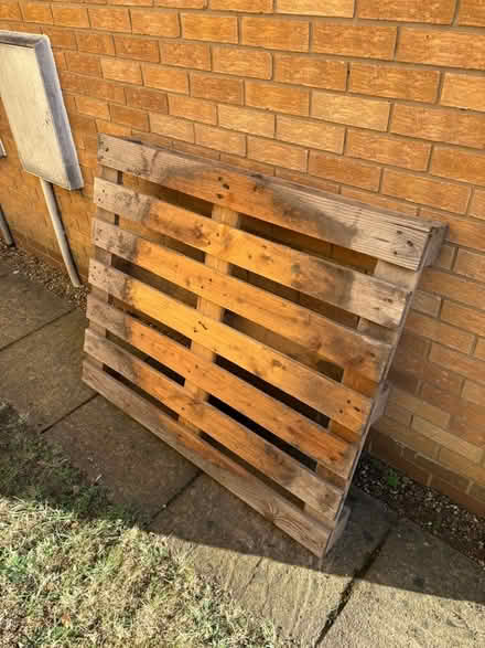 Photo of free Pallet (Dussindale NR7) #1