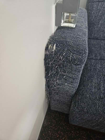 Photo of free Futon - structube (Mooney's bay) #2