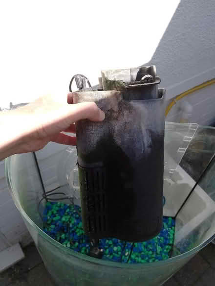 Photo of free fish tank (Caversham Heights RG4) #2