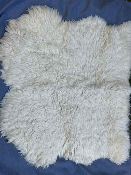 Photo of free Sheep skin rug (Herne Hill, SE24) #1
