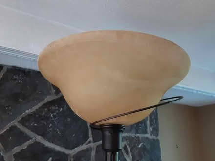Photo of free Tall floor lamp (Carlingwood) #4