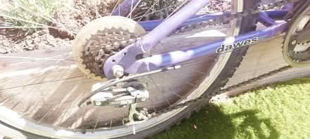 Photo of free Bicycle (Mangotsfield) #2