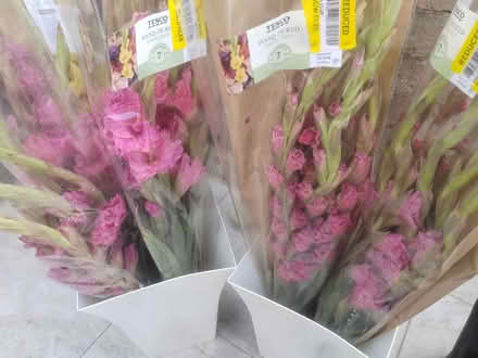 Photo of free Flowers (Loughton IG10) #1