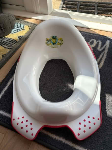 Photo of free Paw patrol toilet training seat (Abingdon OX14) #1