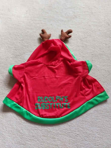 Photo of free Festive outfit for small dog (Hog Hatch GU9) #1