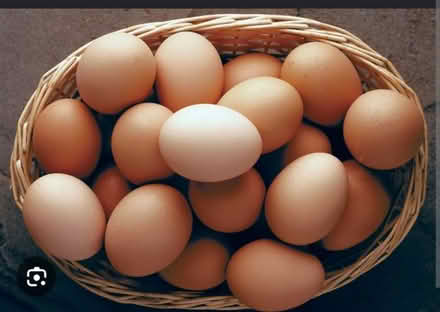 Photo of Farm eggs in Streetsville (Mississauga Ontario Canada) #1