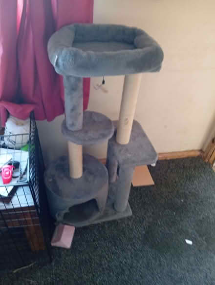 Photo of free Grey Cat Tower (Odd Down BA2) #1