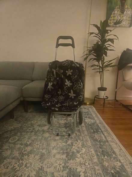 Photo of free Small cart with wheels (Brooklyn, Ditmas Park) #1