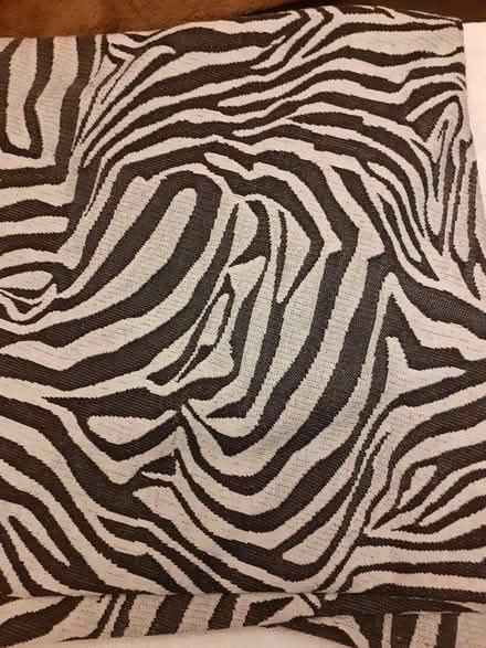 Photo of free Zebra Material (Birmingham City Centre B1) #1
