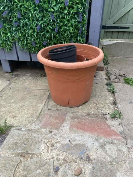 Photo of free Plastic pots - various sizes (Great billing Northamtpon NN3) #1