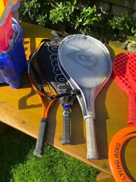 Photo of free Outdoor toys (Skelton CA11) #3