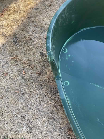 Photo of free Plastic Dog/pet Bed (Wormingford CO8) #4