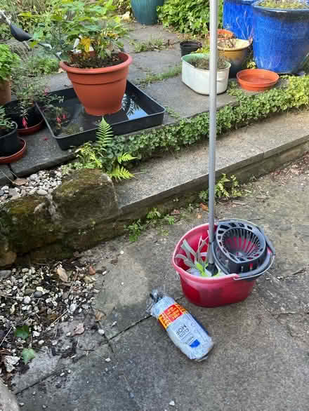 Photo of free Mop and bucket (Aldfield HG4) #2