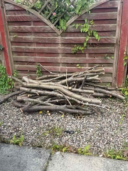 Photo of free Wood branches (Rosyth KY11) #1