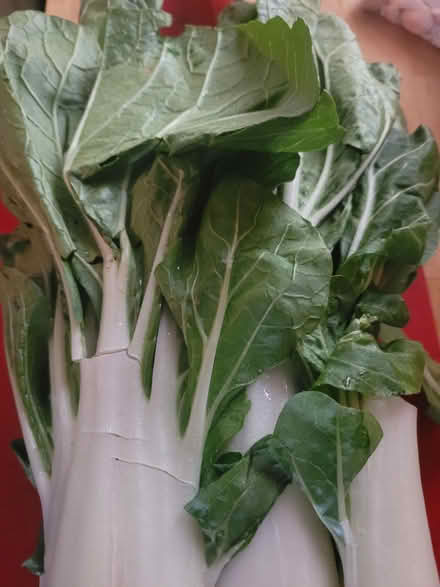 Photo of free Groceries (Oakland) #1