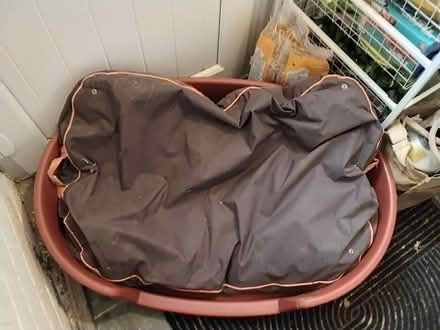 Photo of free Dog bed(s) (Grenoside S35) #1