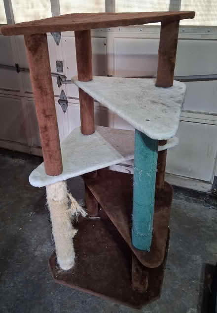 Photo of free 5 Tier cat tree (Lemoyne Pennsylvania) #1