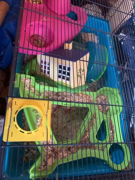 Photo of free Large hamster cage and accessories (Lifford, kings Norton B30) #1