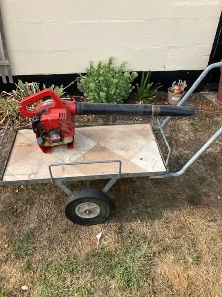 Photo of free Leaf blower (Alburgh IP20) #1