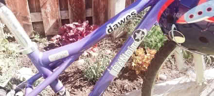 Photo of free Bicycle (Mangotsfield) #3