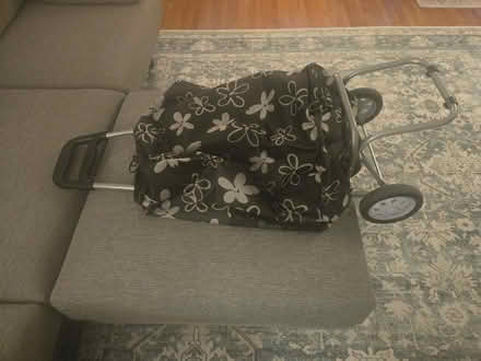 Photo of free Small cart with wheels (Brooklyn, Ditmas Park) #3