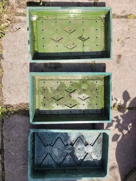 Photo of free Seed trays x 3 (Shenley Fields B29) #1