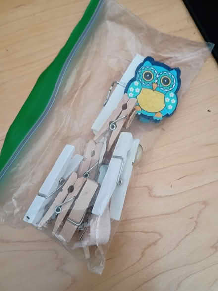 Photo of free Decorative Clothespins w/Owl Design (Vacaville) #1