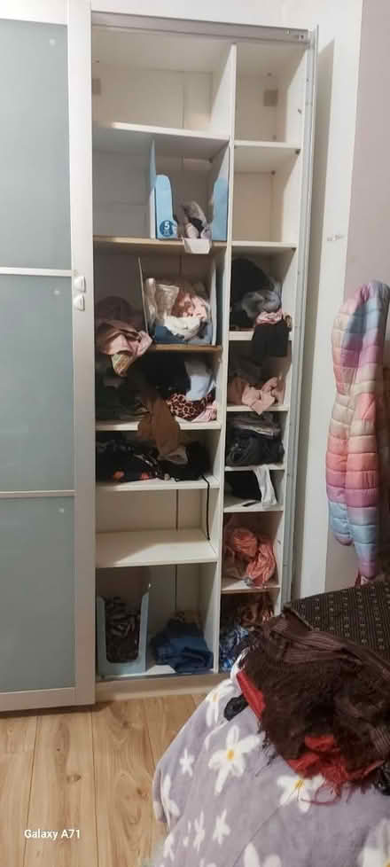 Photo of free Tall wordrobe (SW16 norbury) #2