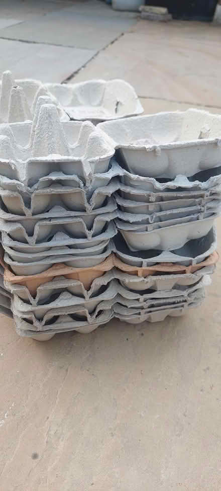 Photo of free 24 egg boxes (Horsham) #2