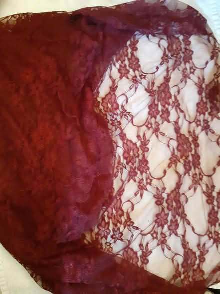 Photo of free Burgundy Red Lace (Birmingham City Centre B1) #1