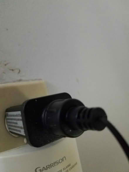Photo of free Christmas tree topper (Hunt Club) #3