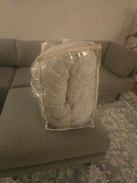 Photo of free Comforter (Brooklyn, Ditmas Park) #1
