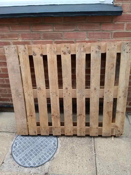 Photo of free Pallet (Tiptree CO5) #1