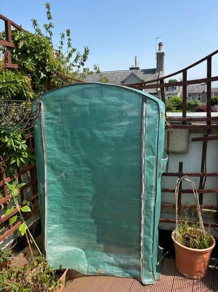 Photo of free Grow bag greenhouse (Rosemount AB15) #1