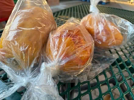 Photo of free 3 ripe papayas (1075 Valencia Avenue) #1