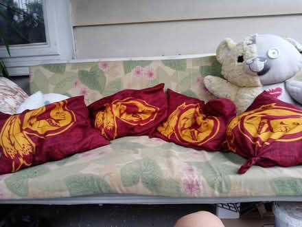 Photo of free 4 politically incorrect pillows (Mt Rainier MD) #1