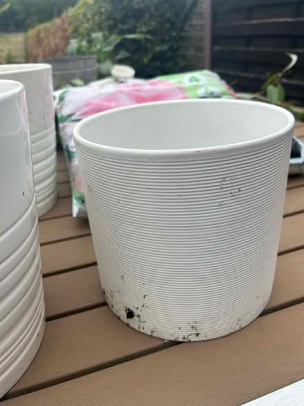 Photo of free 3 x white ceramic pots (Holbrook, Belper, DE56) #3