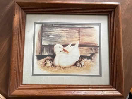 Photo of free Framed duck print (Drexel Hill) #1