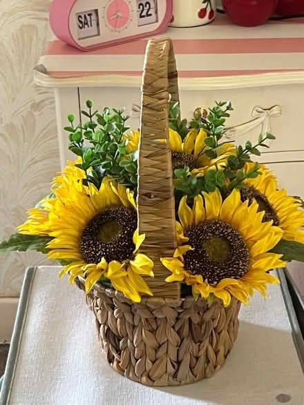 Photo of free Sunflower basket (Skerton LA1) #1