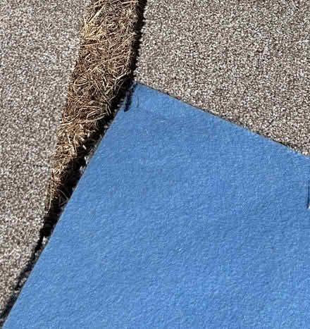 Photo of free Carpet off-cuts (Eynesbury PE19) #2