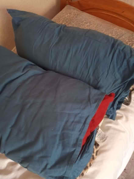 Photo of free 4 Pillows with covers very light use (The Nurserylands TW12) #1