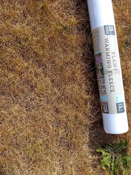 Photo of free Plant fleece protection (Cubbington CV32) #1