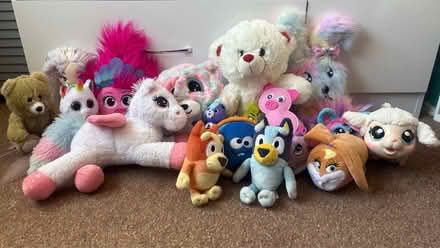 Photo of free Soft toys (St Leonard’s on Sea TN38) #1