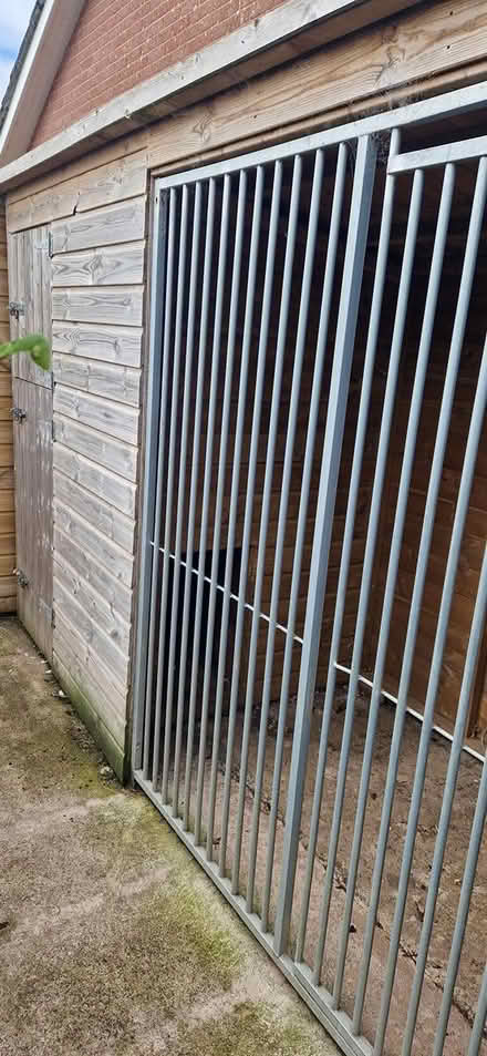 Photo of free Wooden dog kennel (Kirkcambeck CA8) #1