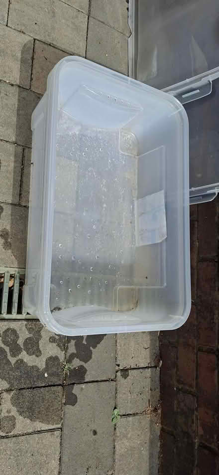 Photo of free 2 plastic storage boxes (Morden SM4) #2